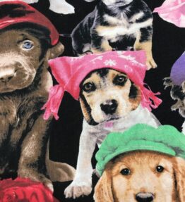 ADORABLE PETS
