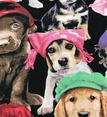 ADORABLE PETS