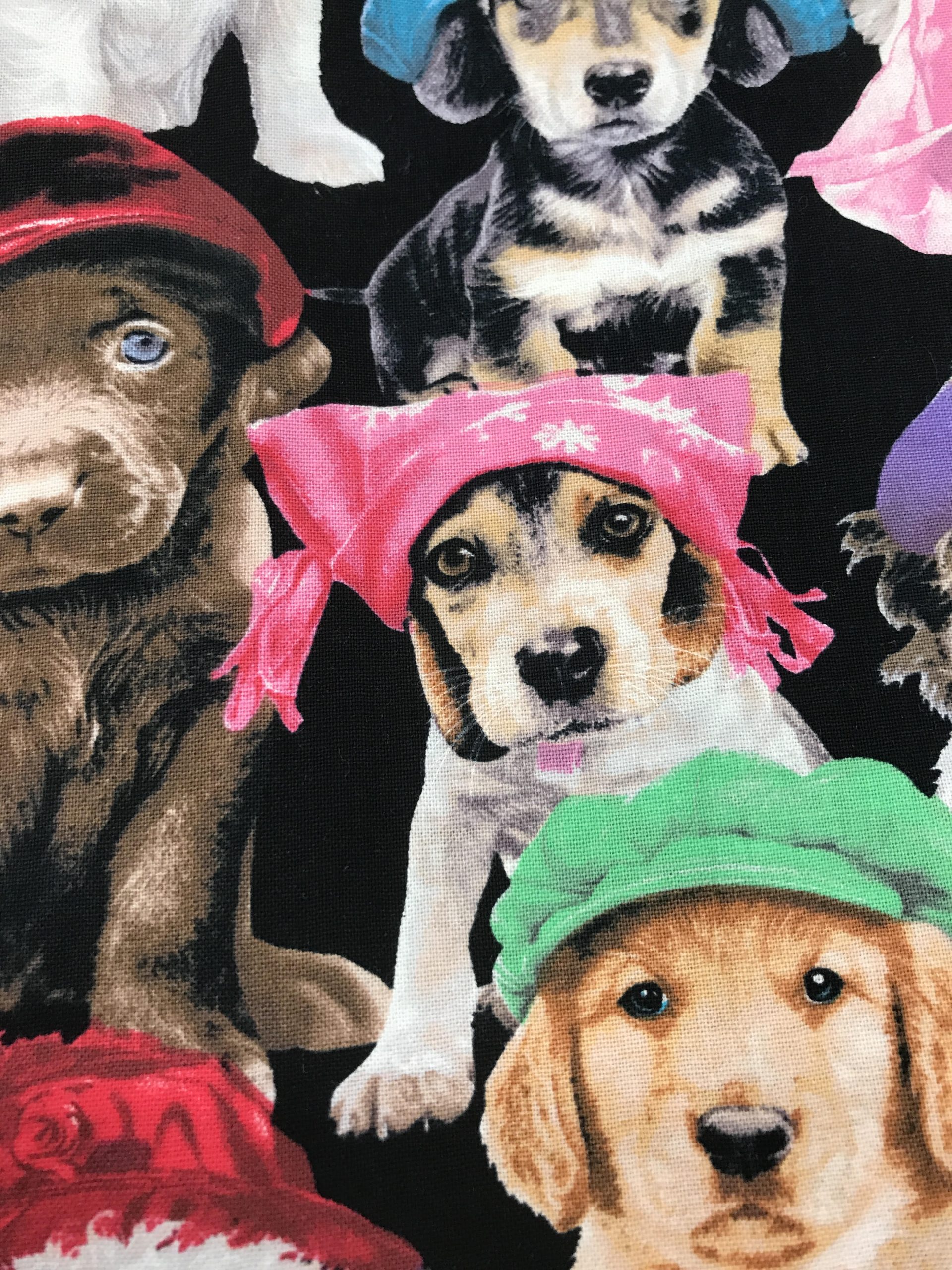 ADORABLE PETS