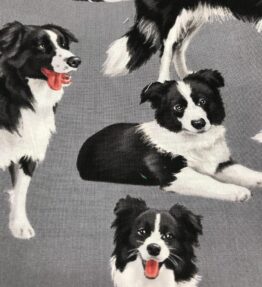 DOGGIE