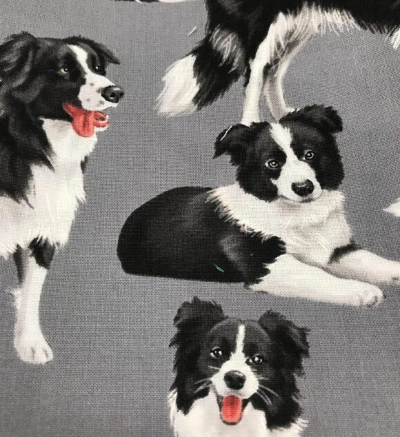 DOGGIE