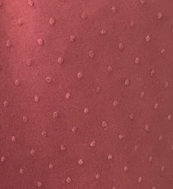 TROPICAL BREEZE SWISS DOT BURGUNDY