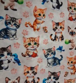 Cats at Play