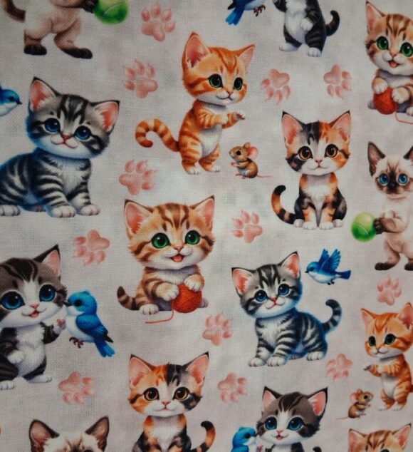 Cats at Play
