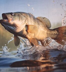 Wildlife Fish Pond