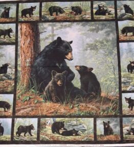 Bear's Den