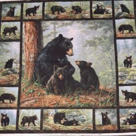 Bear's Den