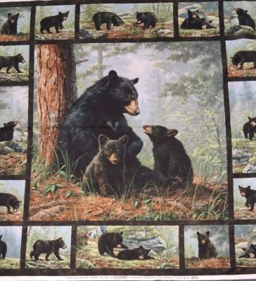 Bear's Den