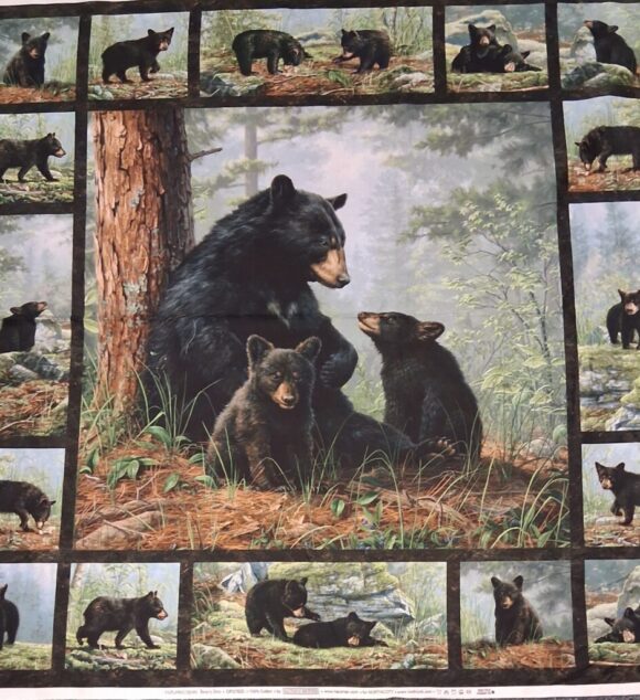 Bear's Den