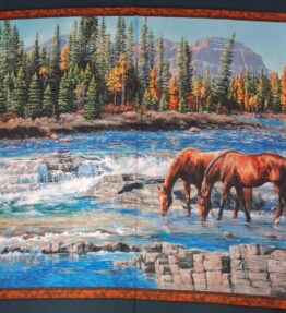 The Rocks Horse