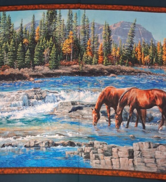 The Rocks Horse
